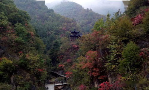 腰市江山景区招聘,需要找工作的看过来