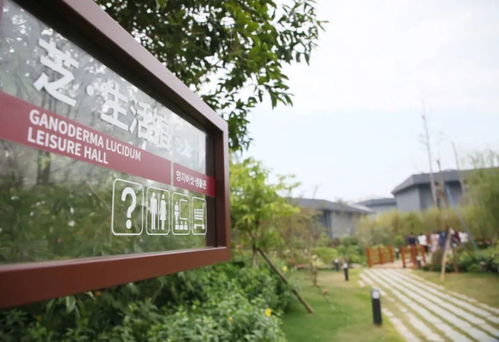 养老好地方,在融安过上 七乐融融 好生活