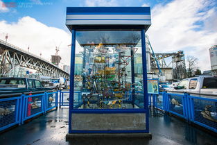 看过这样的水泥厂,才知道加拿大有多发达,我们的差距不是一点点