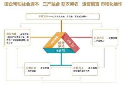 三产如何融合发展?来广州从化这个国家级田园综合体看看