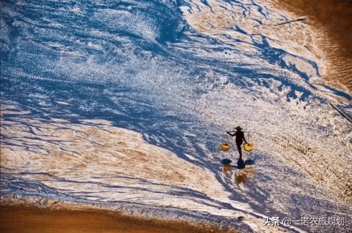 适者生存,旅游景区运营管理的创新思维
