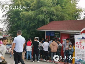 多彩贵州网 2019年国庆,百里杜鹃开启景区运营转型之路