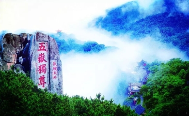 滨州市文化和旅游局:让公共服务平台更便民