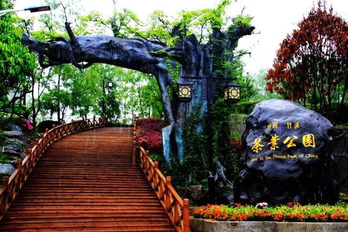 微新闻 相约龙王垭 欢乐过 五一 暨竹溪旅游攻略