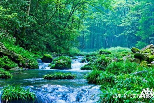 去张家界旅游有什么好玩的 2 5天怎么玩 张家界旅游攻略