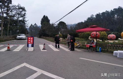 实行景区封闭管理 确保防控攻坚实效