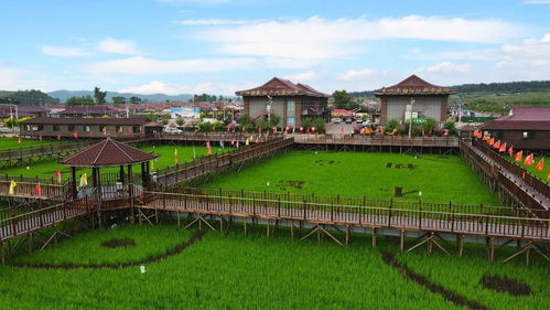 醉 美假期嗨不停,国庆就来辽源市