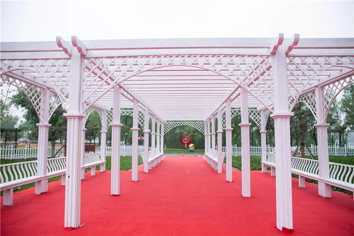 千家旅行社进淄博 高青踩线营销暨安澜湾 首届风车艺术节 盛大开幕