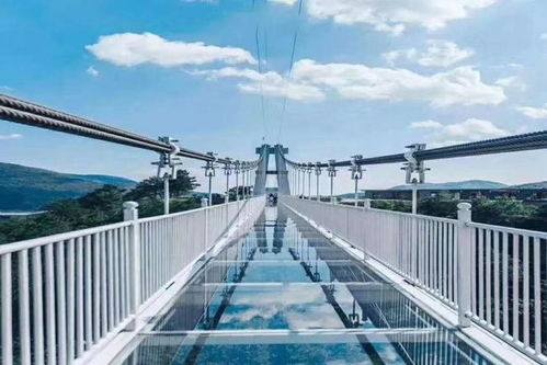 景区网红项目与旅游景区经营管理