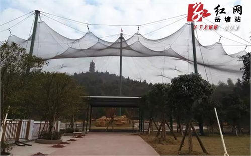 湘潭盘龙大观园多措并举，从容应对春节旅游高峰