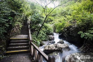 定海旅游景区管理办法颁布，规范景区等级评定与经营管理