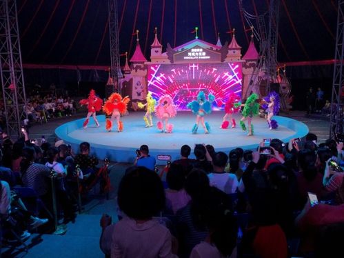 五一假期中国文旅集团开曼景区迎客逾20万人次，景区经营管理成效显著