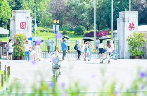 中秋国庆假期江城四大景区将实行圈层管理