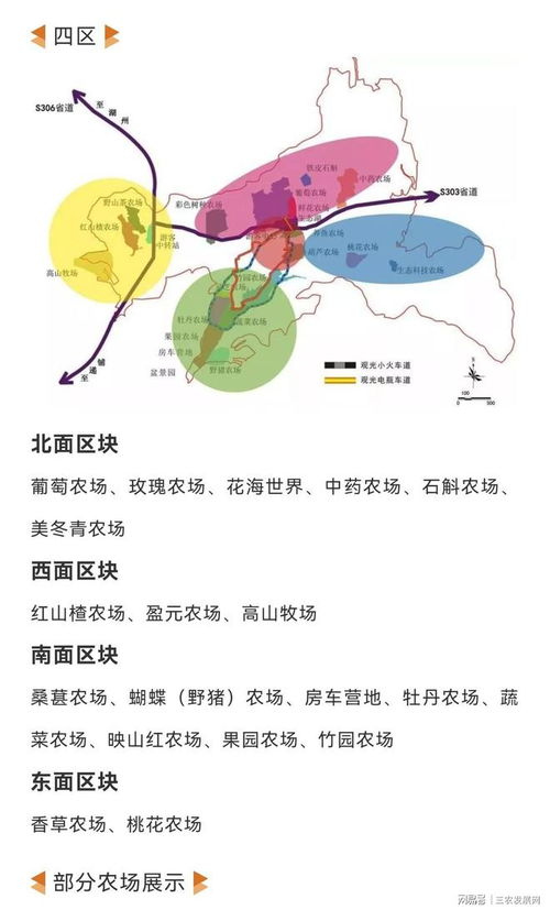 浙江安吉鲁家村田园综合体 从乡土到典范的旅游景区经营管理之路