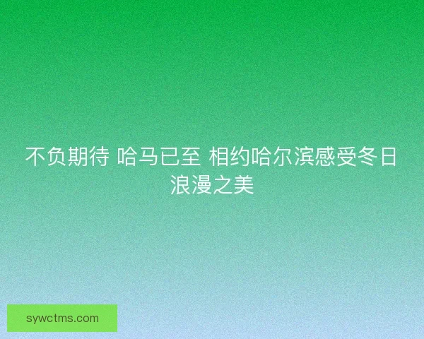 不负期待 哈马已至 相约哈尔滨感受冬日浪漫之美